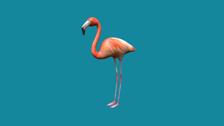 Flamingosf – Modello 3D gratuito STL