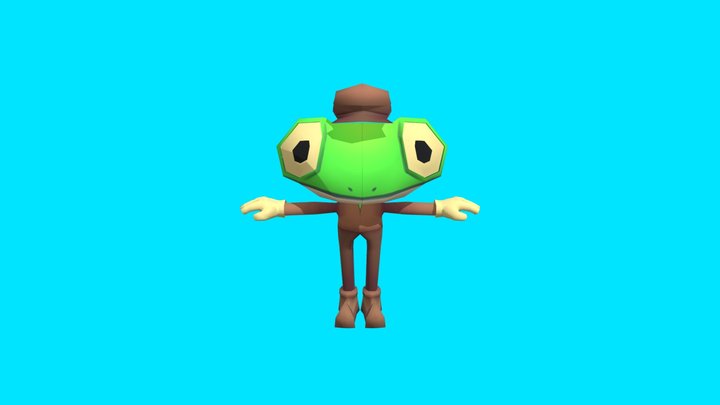 The Frog 3D Model