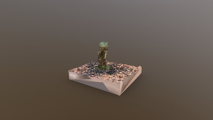 tree stump 3D Model