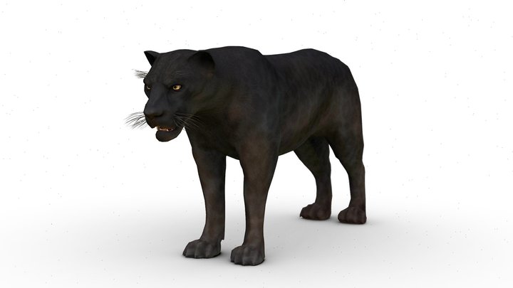 3D Black Panther 3D Model