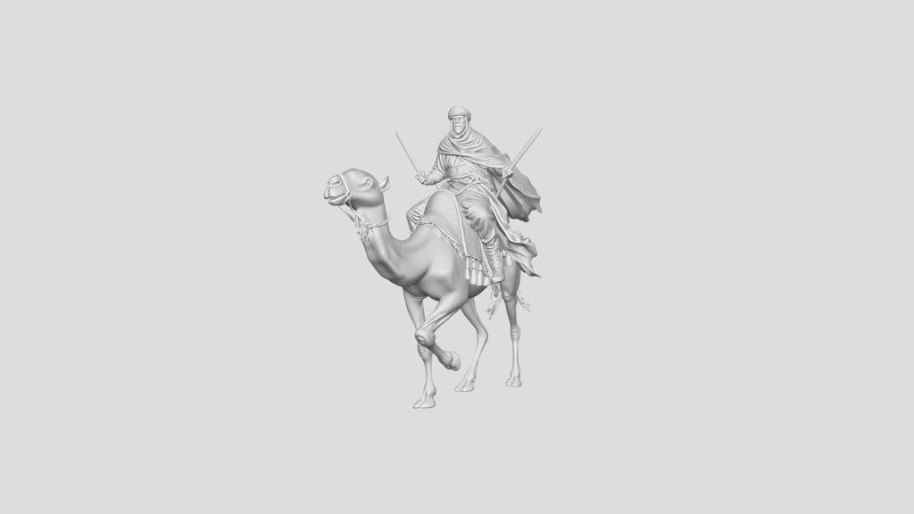 Desert Knight on a Camel