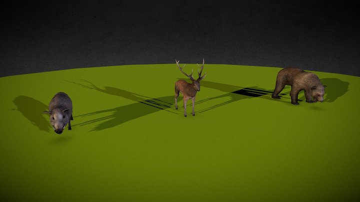 [VLFA] Wild Animals 3D Model