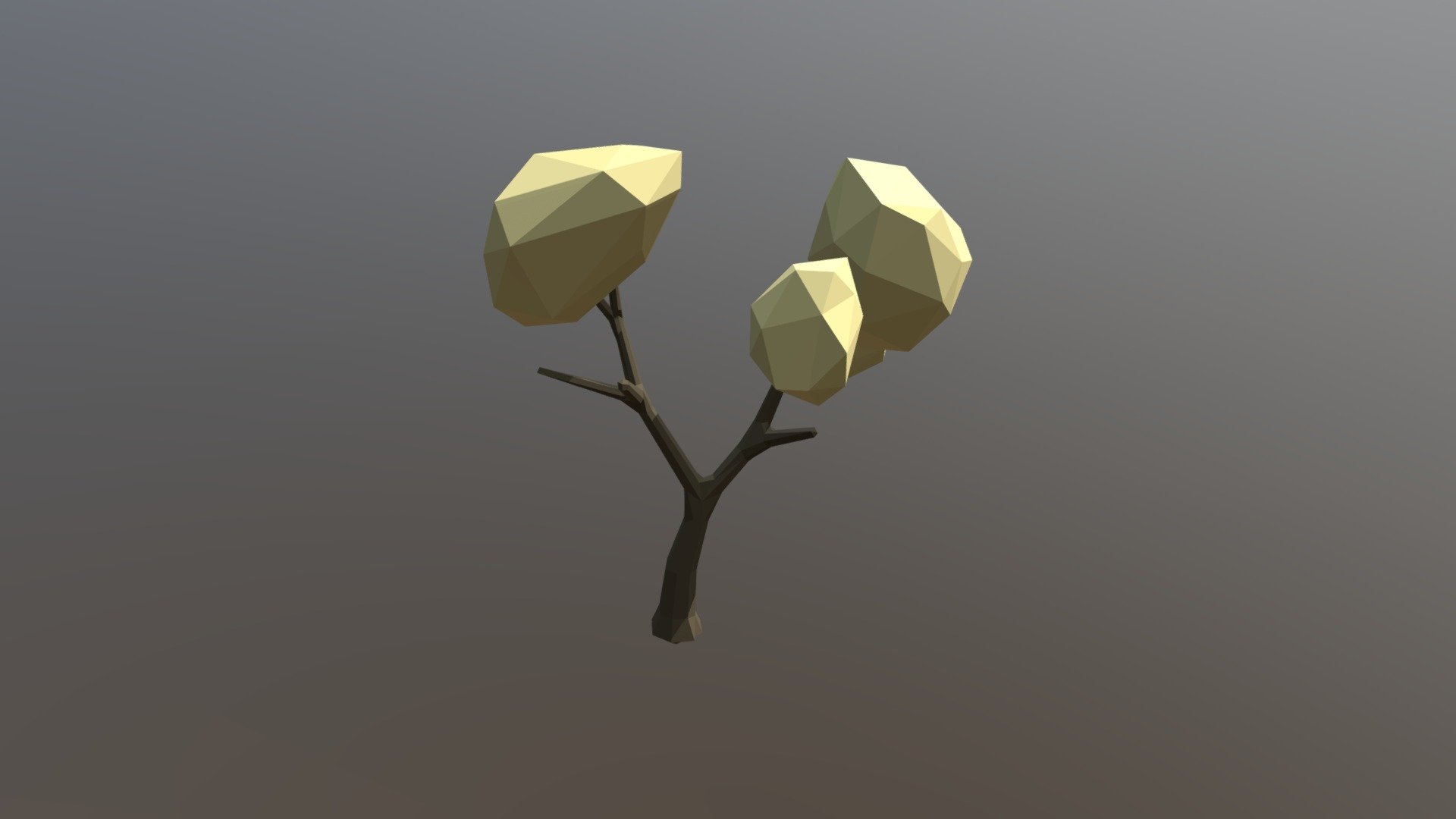 Biege Tree
