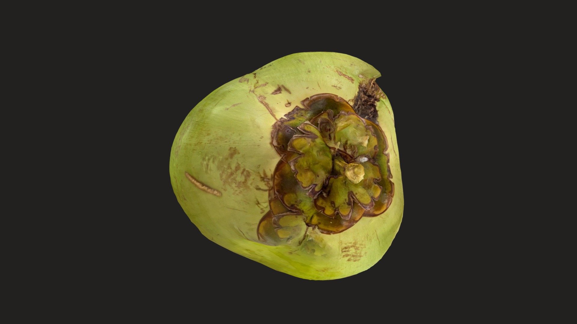 Day 252: Tender Coconut