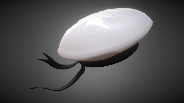 Boina 3D models - Sketchfab