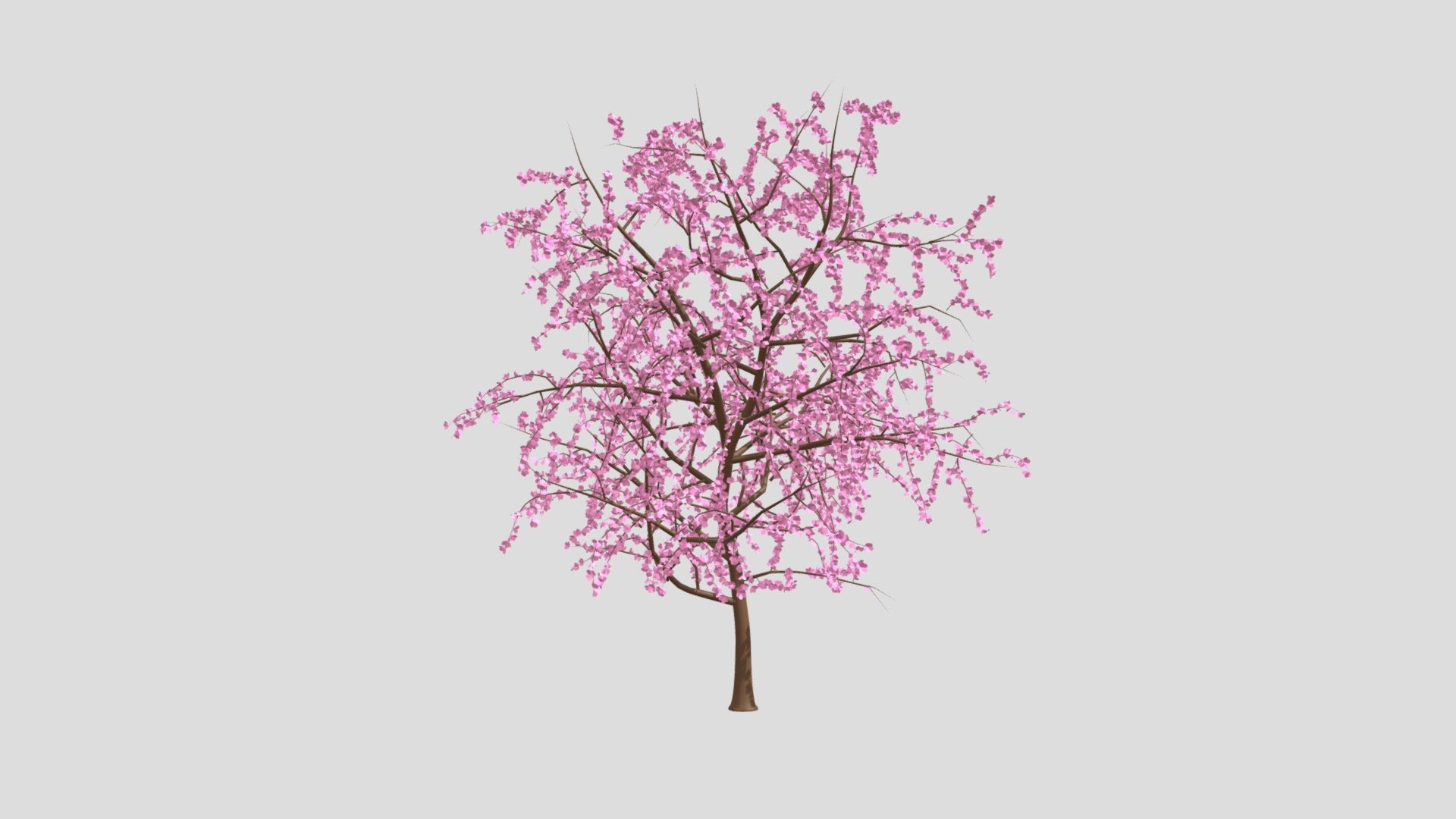 Blossom Tree - Buy Royalty Free 3D model by Ed+ (@EDplus) [1e3cda7 ...