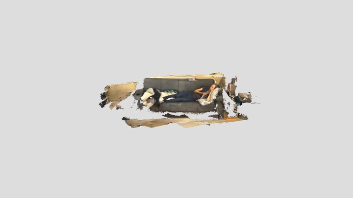Lazy 3D Model