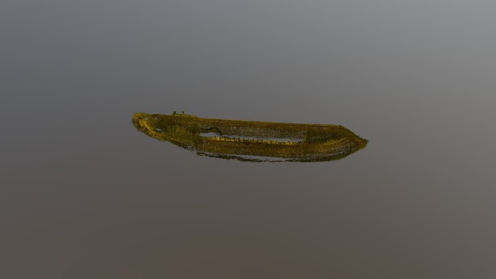 Vinkeveen vrachtboot (pointcloud) 3D Model
