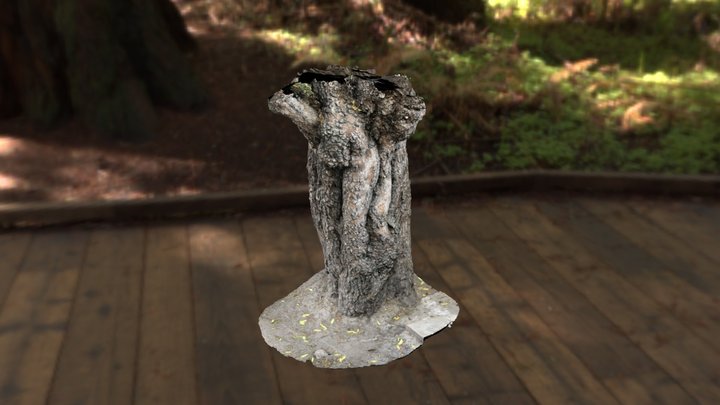 tree trunk 3D Model