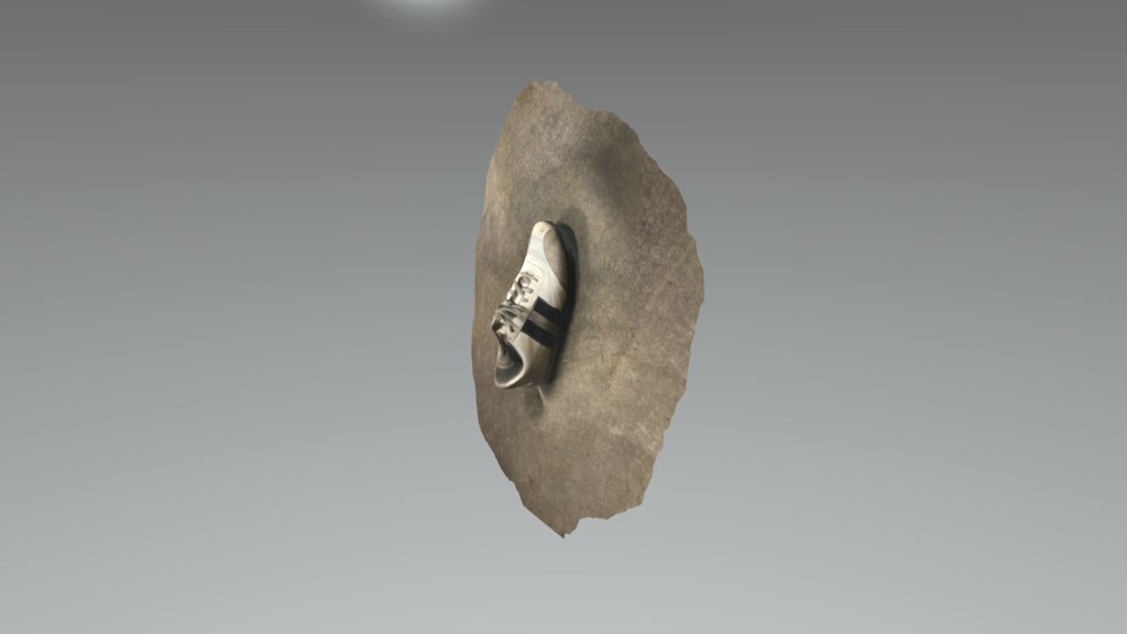 Shoe