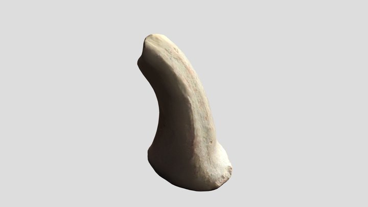 CTM 1-302 3D Model