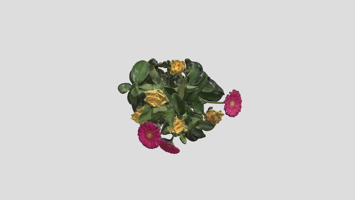 V- Flower_6x Distance 3D Model
