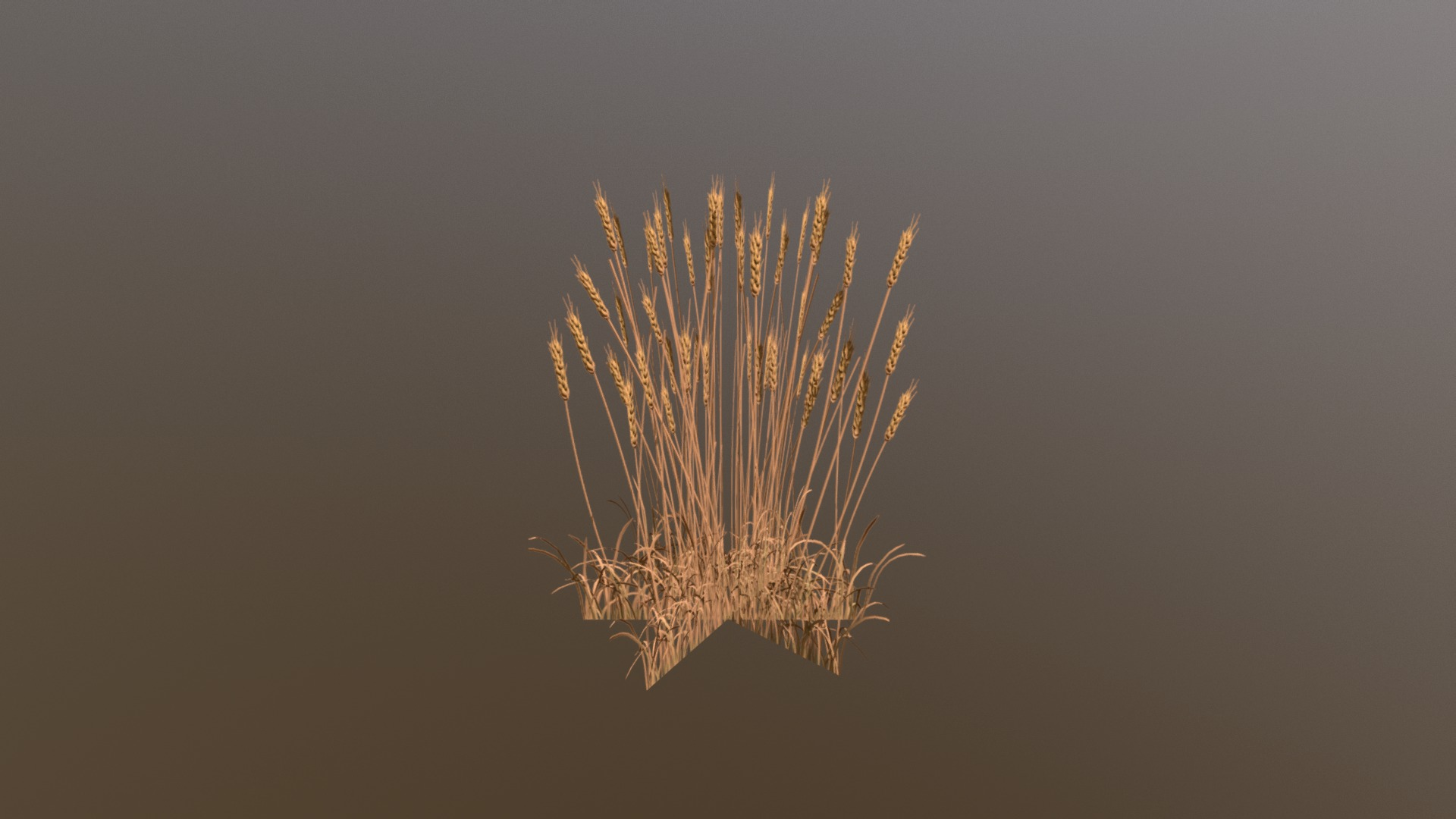 Wheat Download Free 3d Model By Ljungman [1e4643b] Sketchfab