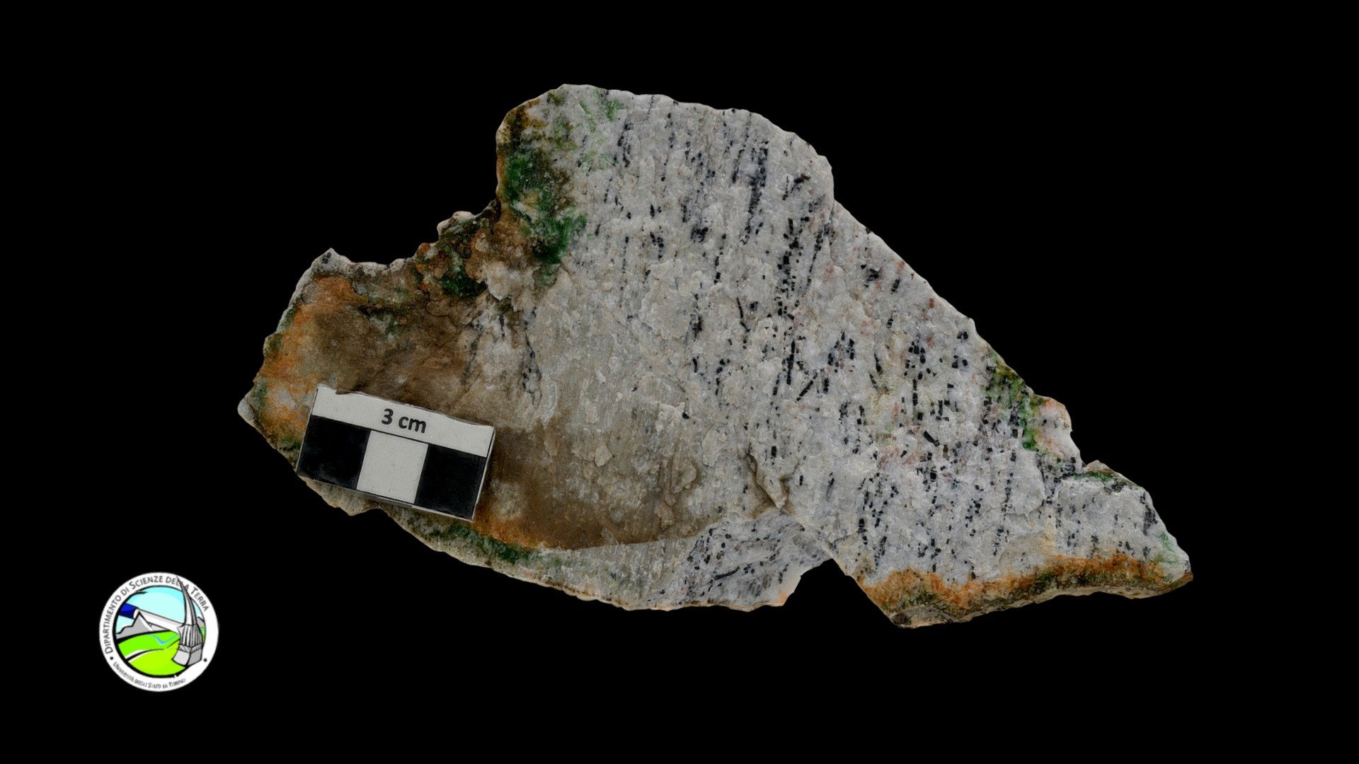 Leucogranito milonitico 3D model by Dipartimento di Scienze della