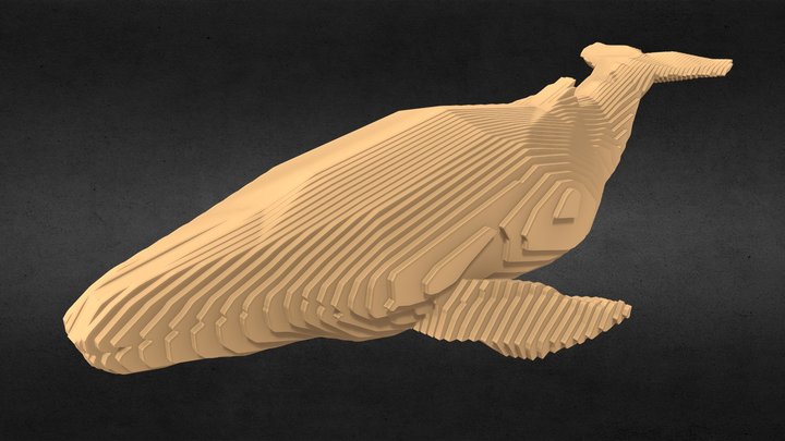 Parametric Humback Whale 3D Model