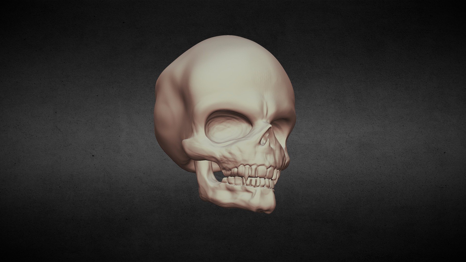 Skull