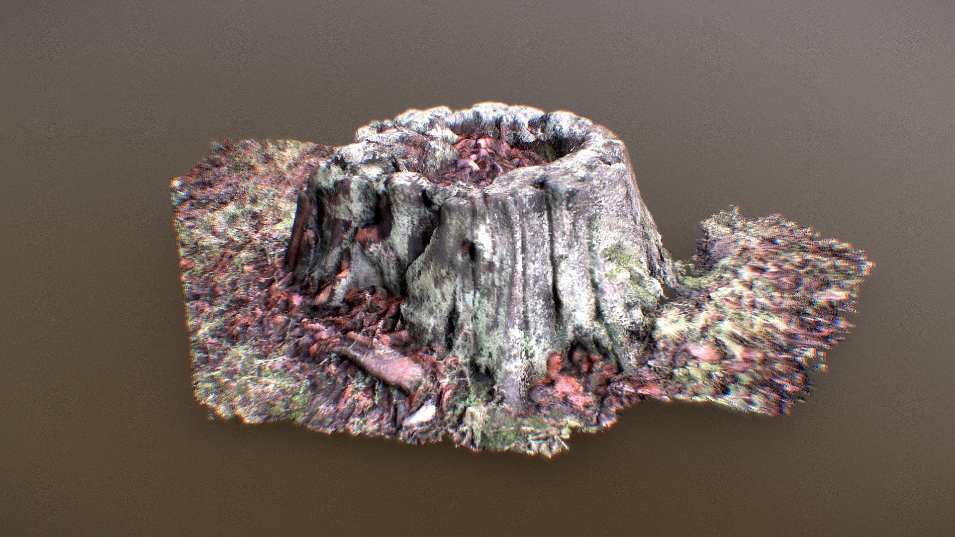 Tree stump