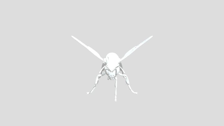 model 3D Model