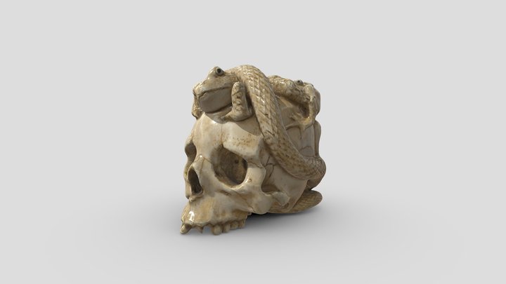 Carved Ivory Skull 3D Model