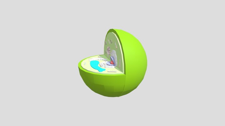 Cellula Finale 3D Model