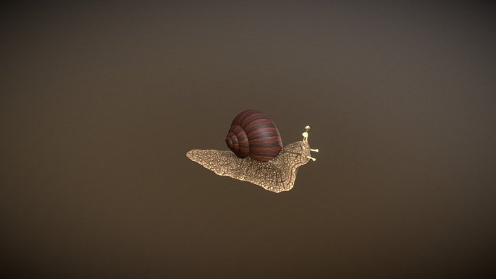 Snail 3D Model