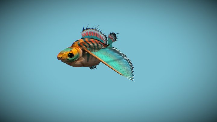 Flying Fish Swimming Animation (rough) 3D Model