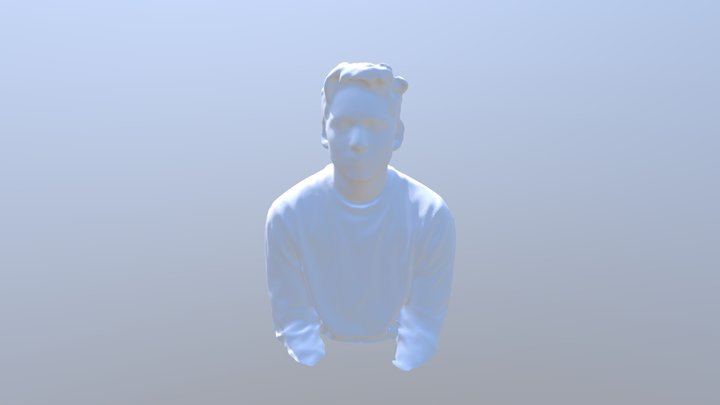 Model Scan 3D Model