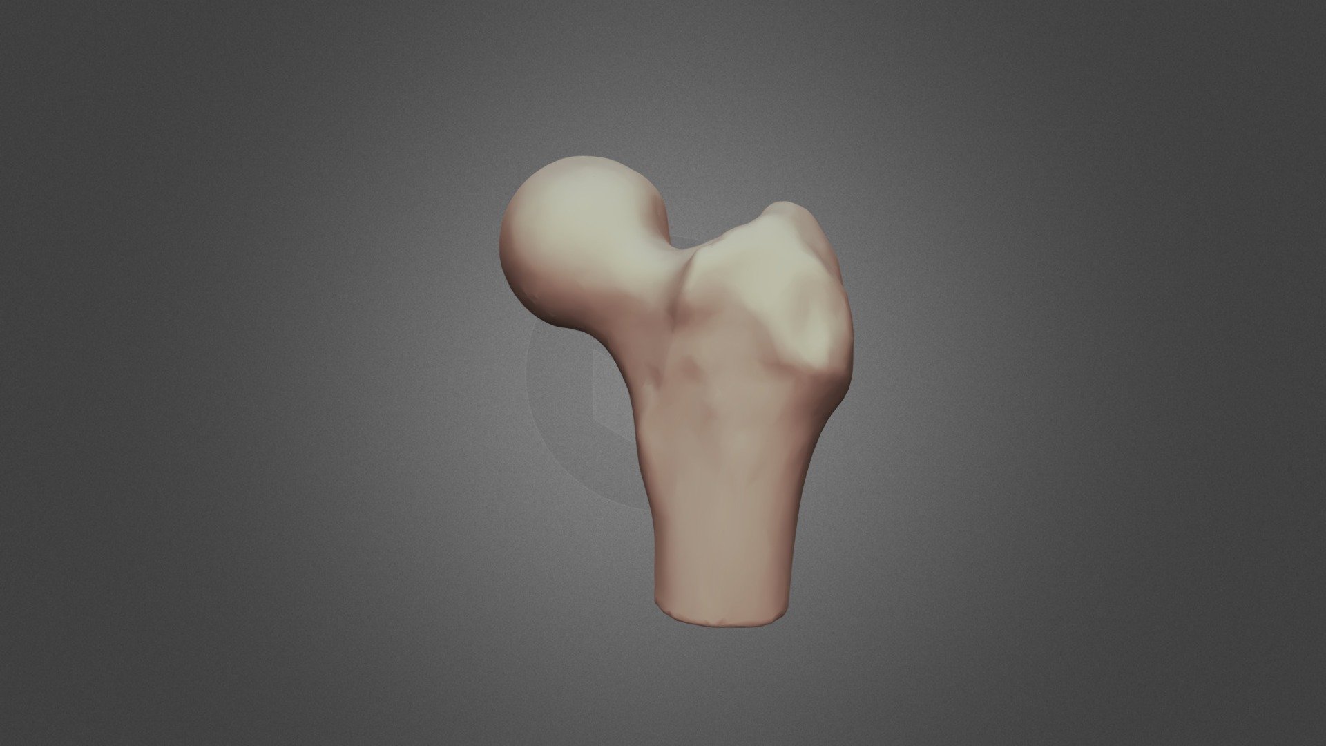 Femur - 3D model by Stefan Stavrevski (@stefanstavrevski) [1e5a5ed ...