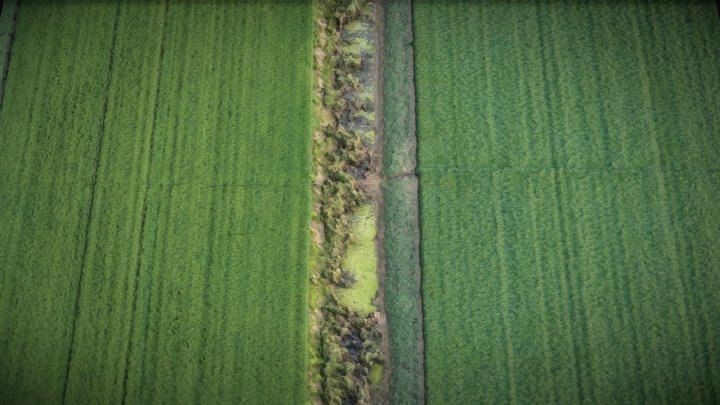 Farmland and irrigation canal – Gratis 3D-model STL