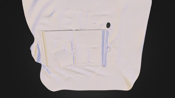 Nineteenth Century Belgian Photograph Album 3D Model
