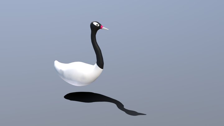 Cisne Cuello Negro 3D Model