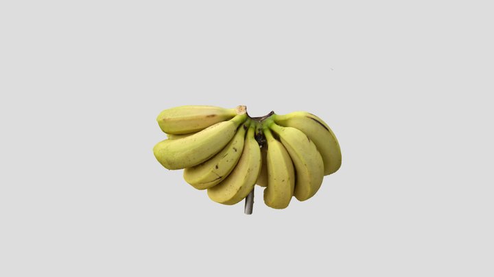 Banana bunch 3D Model