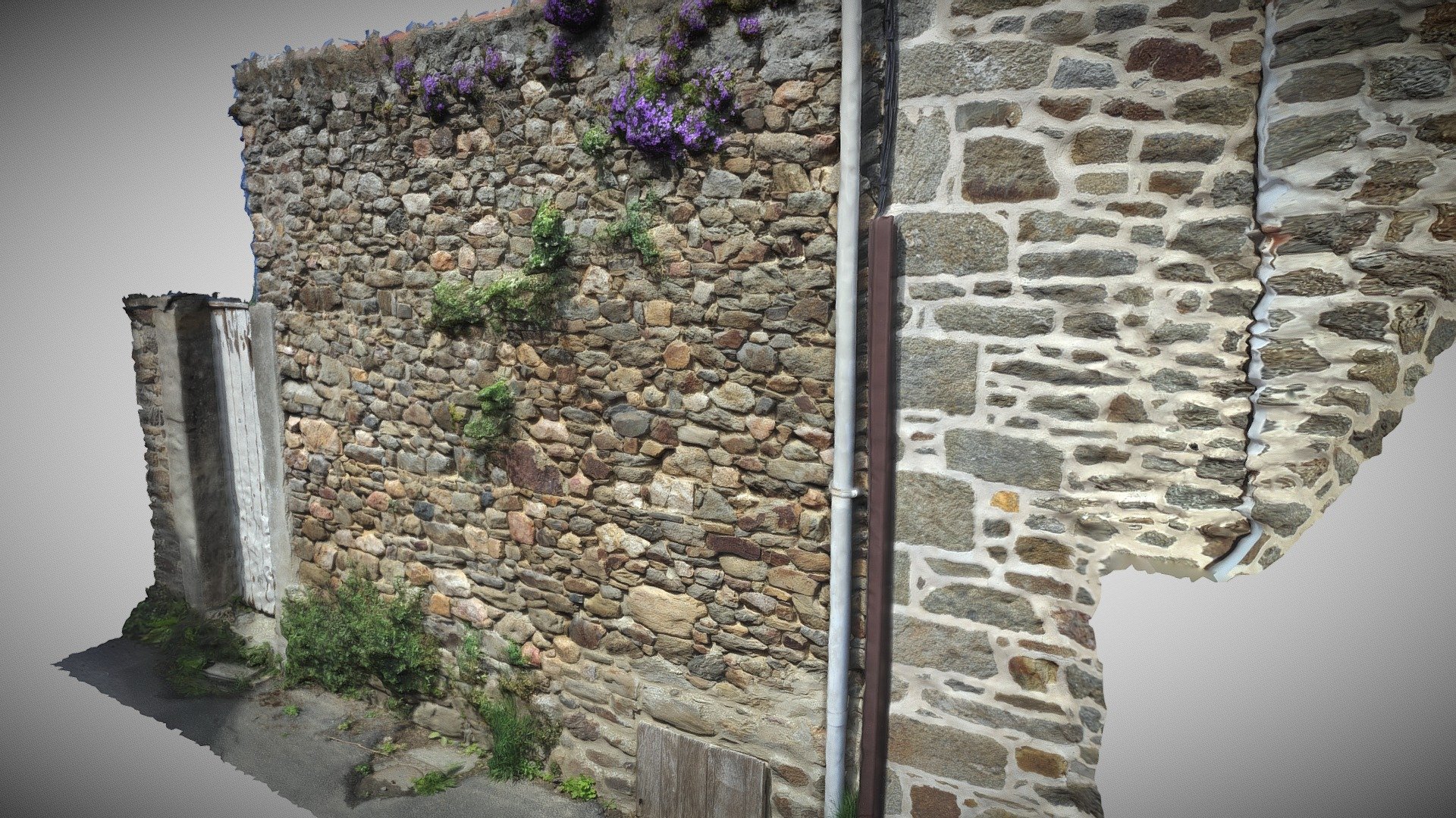 Wall and flowers - Mur et fleurs