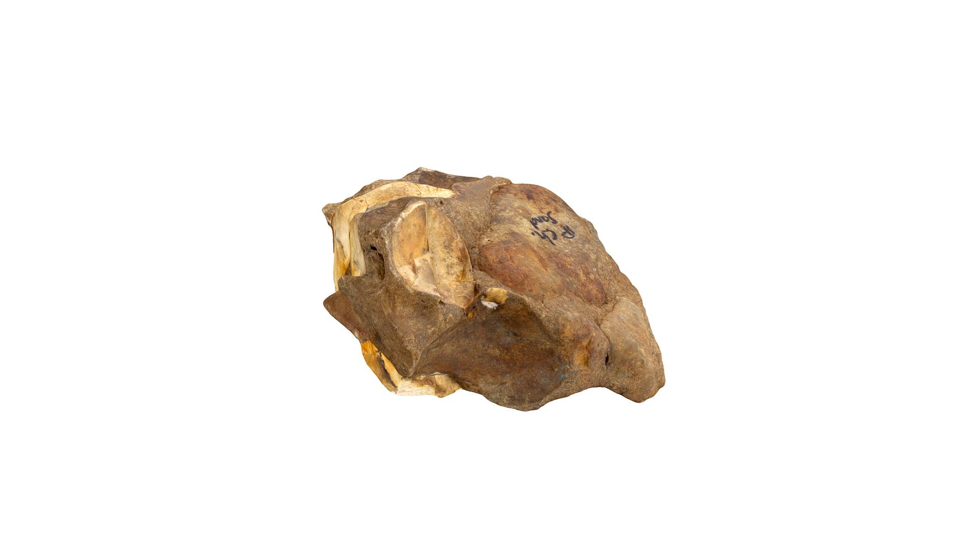 Sedimentary Sample