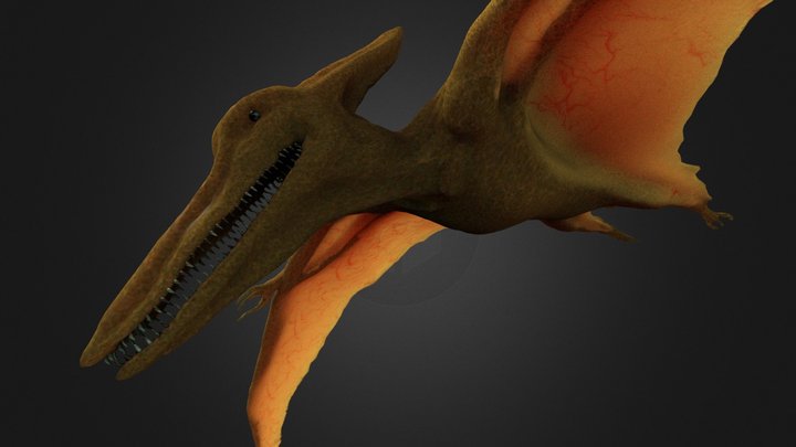 11,888 Pterodactyl Images, Stock Photos, 3D objects, & Vectors