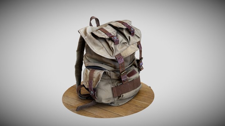 Camera Bag Backpack - Polycam 3D Model