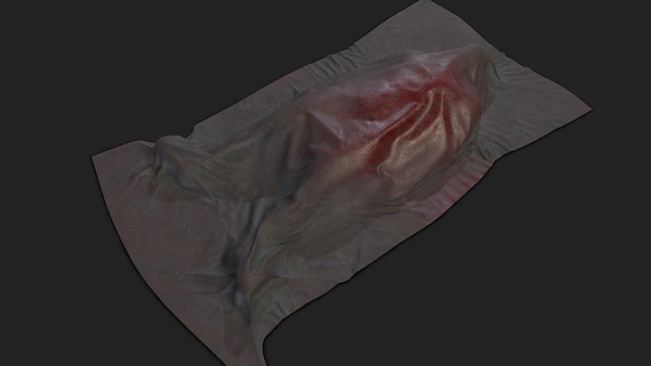 Low Poly Dead Body Covered Game Ready