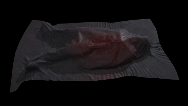 Low Poly Dead Body Covered Game Ready 3D Model