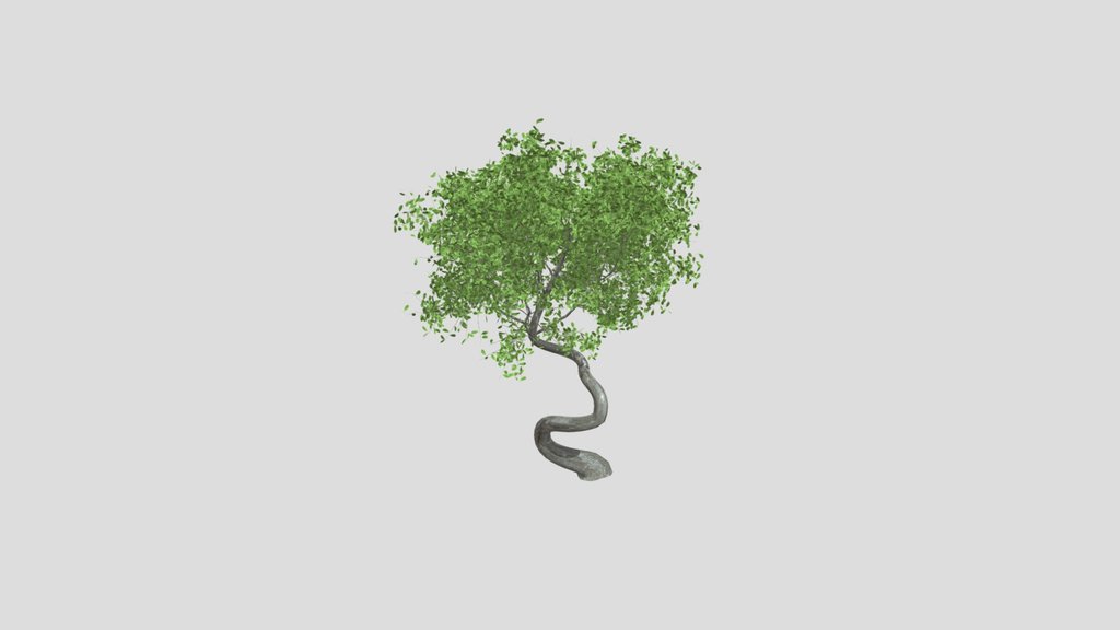 Curved Broadleaf Tree
