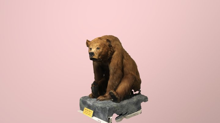 Emil v.48 3D Model