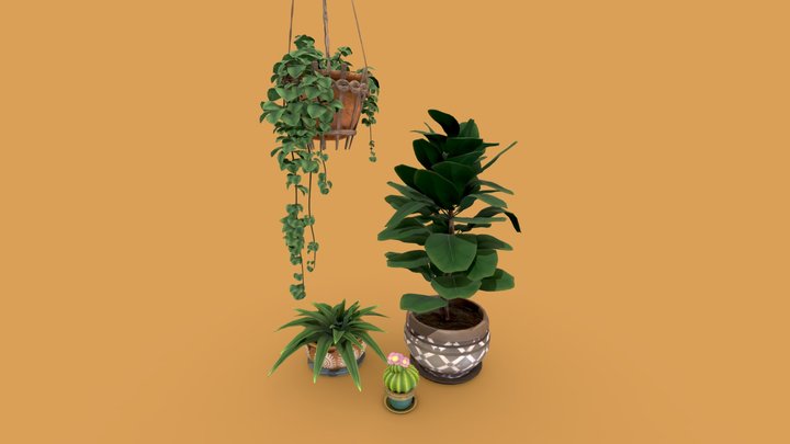 Houseplants 3D Model