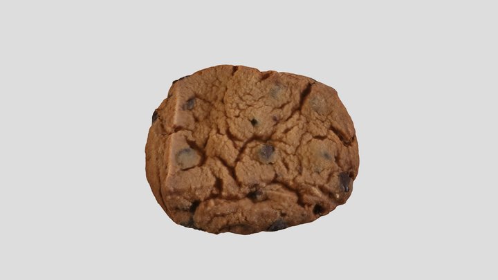 Chocolate chip cookie 3D Model