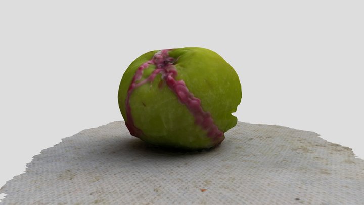 Apple 3D Model