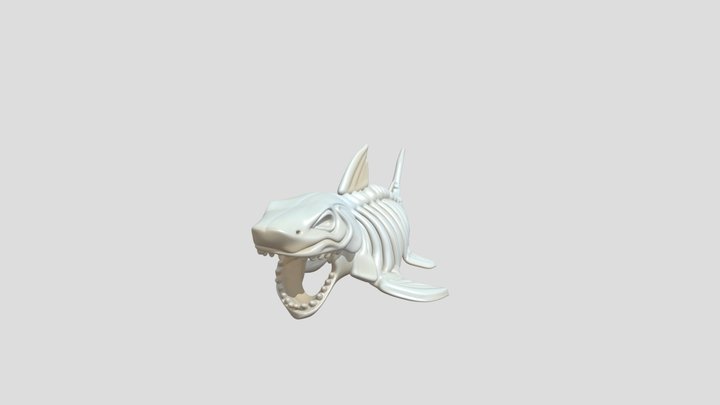vertebrado_peces 3D Model