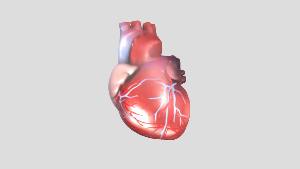 Objek 3D Jantung