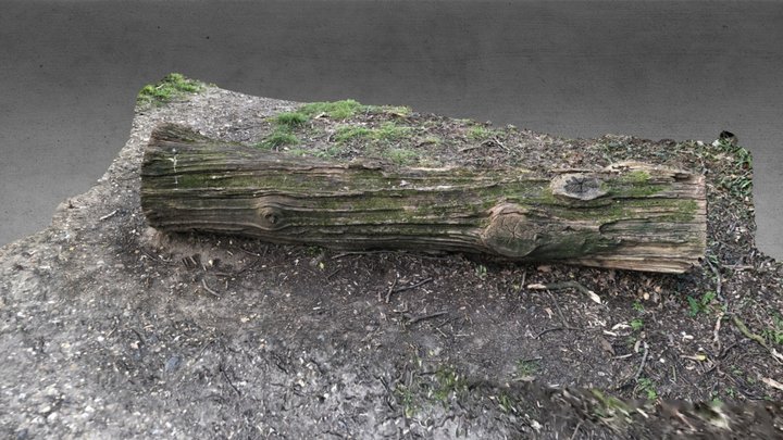 land based wreck..... not yet dug out 3D Model