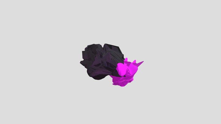 Lotous Rock 3D Model