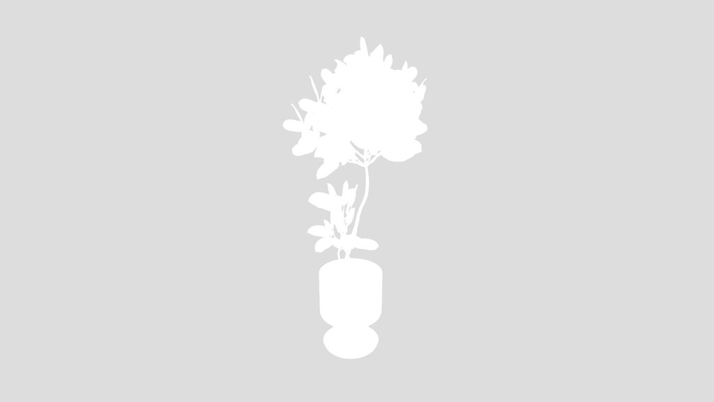 Rubber Ficus Elastica Abidjan Melany