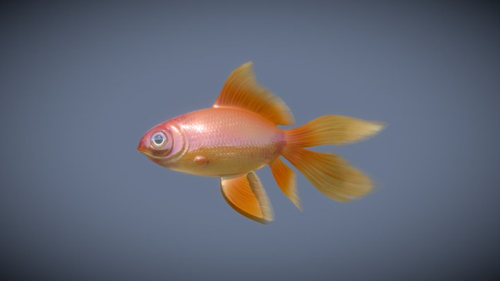 Animated Fish 3D Model