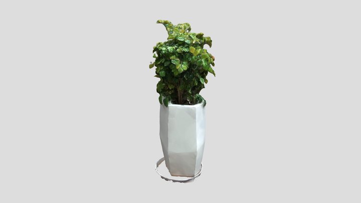 green plants 3D Model